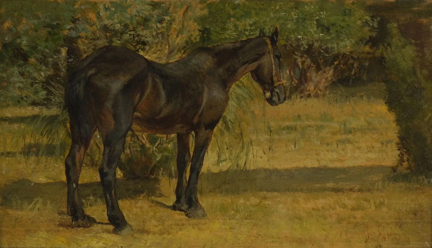 Cavallo al sole - Galleria d’Arte Moderna, Palazzo Pitti, Firenze